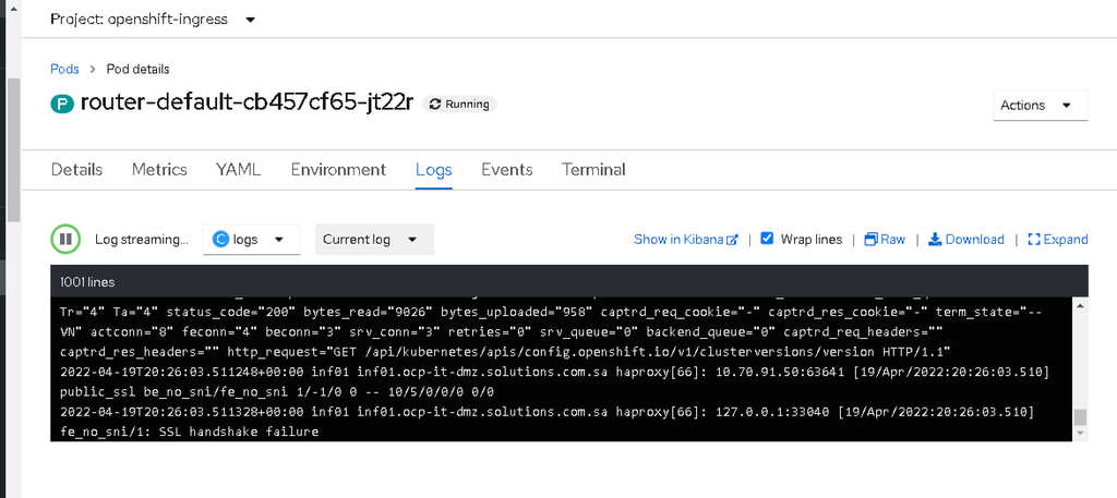 Enable Access Logs on OpenShift Default Routes (HAProxy Ingress Debugging)