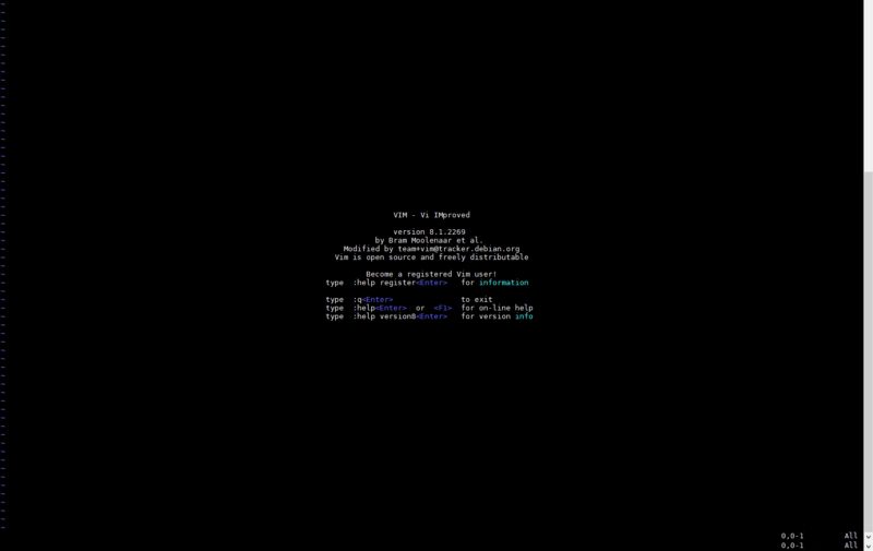 Vi text editor