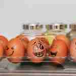 Api Terminology: We Are Using Wrong The Term Api And It Is Driving Me Crazy